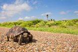 PV impulsa iniciativa federal para rescatar áreas naturales y frenar la extinción de especies