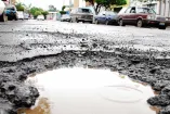 bache