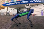perros robot hyundai