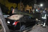 Árbol cae sobre auto de ciudadana en CDMX; exige justicia tras salvarse de milagro