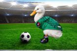 ¿Quién es Merlín, el pato viral que conquistó el Mundial?