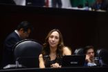 Nayeli Fernández Cruz, diputada federal del Partido Verde Ecologista de México
