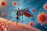 El dengue es una de las enfermedades más preocupantes en temporada de lluvias