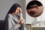 Dengue, zika y chikungunya cómo distinguir sus síntomas