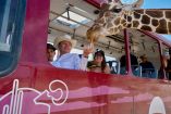 El gobernador Alfonso Durazo posiciona a Sonora como referente en conservación y protección de especies
