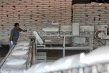 La USTR publicó la distribución de contingentes arancelarios para la importación de azúcar de caña y refinada en el Año Fiscal 2027.