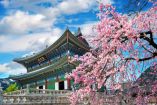 Corea del Sur registra incremento de 238% en turismo de mexicanos: Carlos Alberto Torres