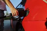 GEMEC advierte que incremento de etanol en gasolinas genera crisis ambiental