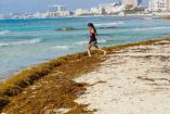 Fonatur explica protocolos de recolección de sargazo para evitar la erosión de arena en playas
