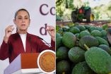 Sheinbaum revela plan para reactivar la exportación de aguacate de Michoacán a EU.