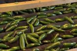 CNA frena señalamientos sobre la presencia de ciclosporiasis en vegetales mexicanos