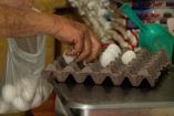 Inflación toca su nivel más bajo desde 2020, pero analistas advierten posibles presiones.