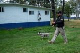 Las autoridades capitalinas rehabilitarán a Boby Boroboy en las instalaciones de Xochimilco con el objetivo de restablecer su salud y ponerlo en adopción responsable.