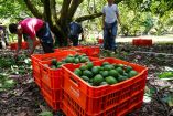 EU reanuda sus actividades en Michoacán: "La cooperación da resultados".