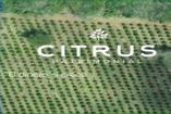 Citrus Patrimonial