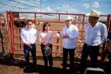 Durante esta inspección, autoridades estales y federales fortalecieron también la coordinación con el sector ganadero.
