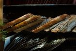 Destrucción de libros para entrenar IA es un escándalo: Ruz