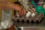 Inflación en México: cebolla, chile y huevo suben de precio.