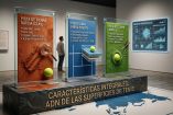 Australian Open, Roland Garros, Wimbledon y US Open son los 4 Grand Slams que se llevan a cabo en la temporada; 3 cuentan con distintas superficies.