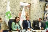 Manuel Velasco, Coordinador del Partido Verde en el Senado