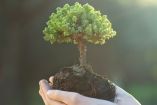 Innovación, financiamiento y el valor de la sostenibilidad en el Mexico Carbon Forum 2026