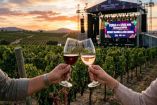 FERIA DEL VINO