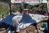 Personal especializado revisa los precursores y sustancias de uso dual hallados en el campamento clandestino.