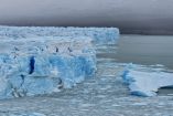 Superniño amenaza la pesca y el clima en México, advierte especialista