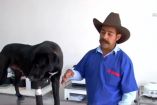 Perrita maltratada rescatada en Hidalgo