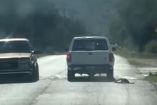 Maltrato animal en Hidalgo