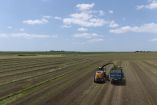Pro Agro Innovación 2026 reúne a compradores de ocho países en Mérida: IDMX