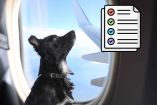 Requisitos para viajar con perro en avión o autobús en México
