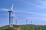 Alemania cuenta con paquete para impulsar proyectos energéticos y biodiversidad: embajadora