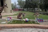 Zoológico de Guadalajara es el más importante de América Latina: Luis Soto