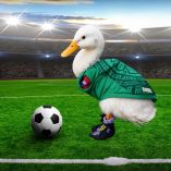 ¿Quién es Merlín, el pato viral que conquistó el Mundial?