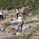 En el Cerro de la Cementera se sumaron mil plantas nativas a un proyecto que contempla restaurar 210 hectáreas entre este espacio y el Bosque Urbano La Sauceda.