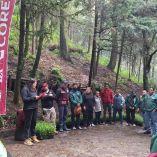 La intervención contempló la plantación de mil oyameles (Abies religiosa) y mil encinos (Quercus),