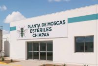 Planta en Chiapas para combatir el gusano barrenador