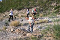 En el Cerro de la Cementera se sumaron mil plantas nativas a un proyecto que contempla restaurar 210 hectáreas entre este espacio y el Bosque Urbano La Sauceda.