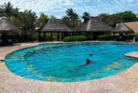 Delfines abandonados en Cancún.