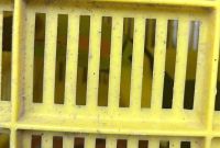 tucan-rescatado-ixtapaluca