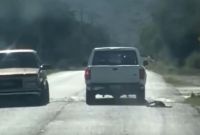 Maltrato animal en Hidalgo