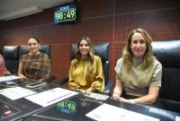 El dictamen con las modificaciones constitucionales fue aprobado por la Cámara de Diputados en noviembre de 2025.
