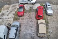 Hombre agrede a perrito callejero.