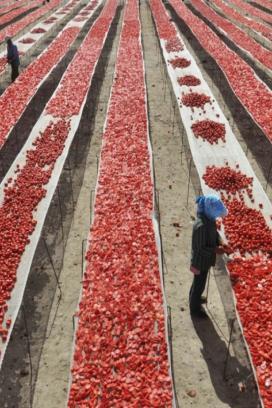 ¿Por qué bajó el precio del tomate en México y cómo impacta a la inflación?