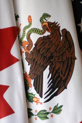 Por qué el Mecanismo de Respuesta Rápida genera incertidumbre jurídica en México