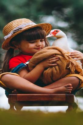 Patos no son juguetes: 'efecto moda' provocará abandono masivo y riesgos de salud: Adriana Díaz