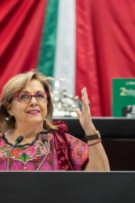 Senadora Malú Micher