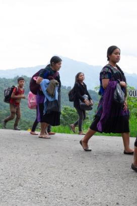 Desplazamiento forzado afecta a más de un millón y medio de personas en México: Rosales Sierra