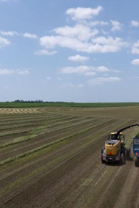 Pro Agro Innovación 2026 reúne a compradores de ocho países en Mérida: IDMX